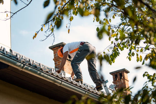 Best Roof Waterproofing Services  in Volo, IL