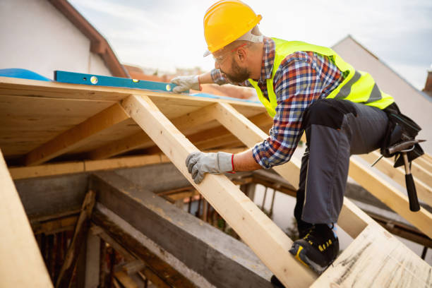 Best Roof Maintenance Services  in Volo, IL