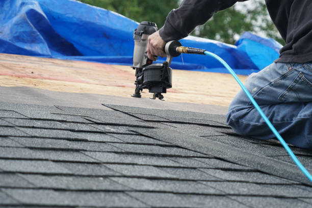 Best Residential Roofing Contractor  in Volo, IL