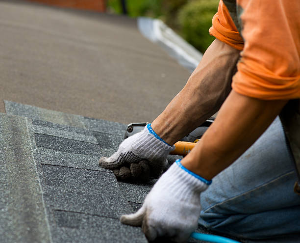 Best Best Roofing Contractors  in Volo, IL