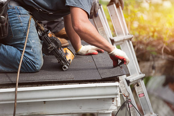 Best Shingle Roofing Installation  in Volo, IL