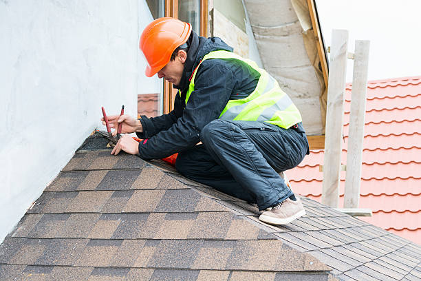 Roof Gutter Cleaning in Volo, IL