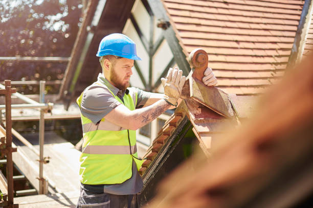 Best Commercial Roofing Services  in Volo, IL